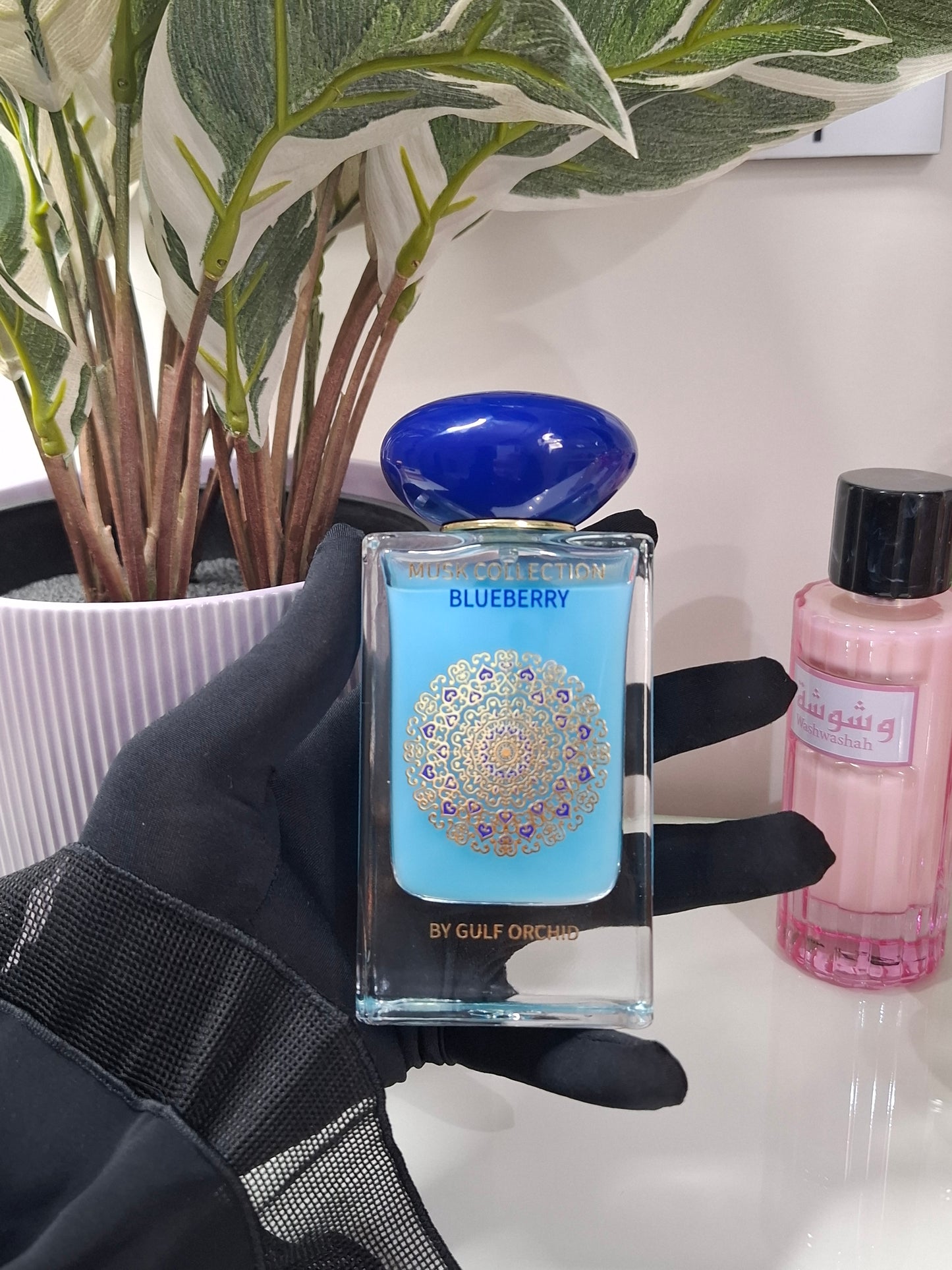 Blueberry – Musk Collection