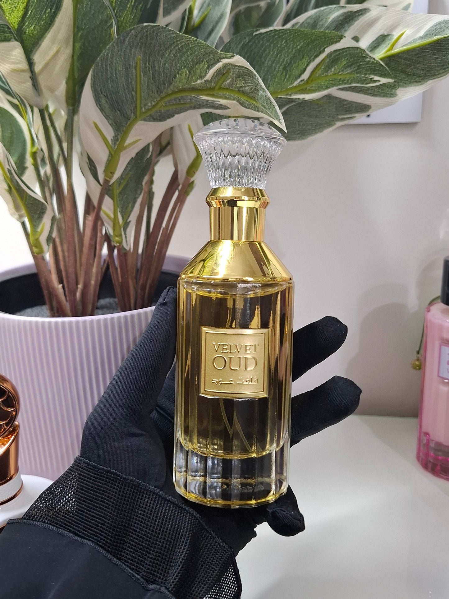 Velvet Oud – Lattafa